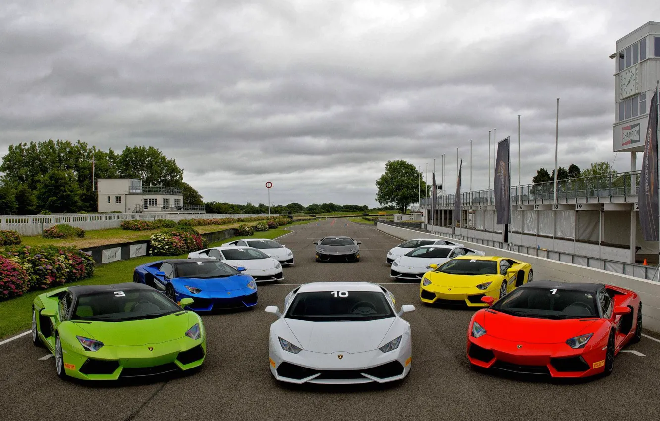 Фото обои трасса, Lamborghini, белая, красная, зеленая, синяя, roadster, Aventador
