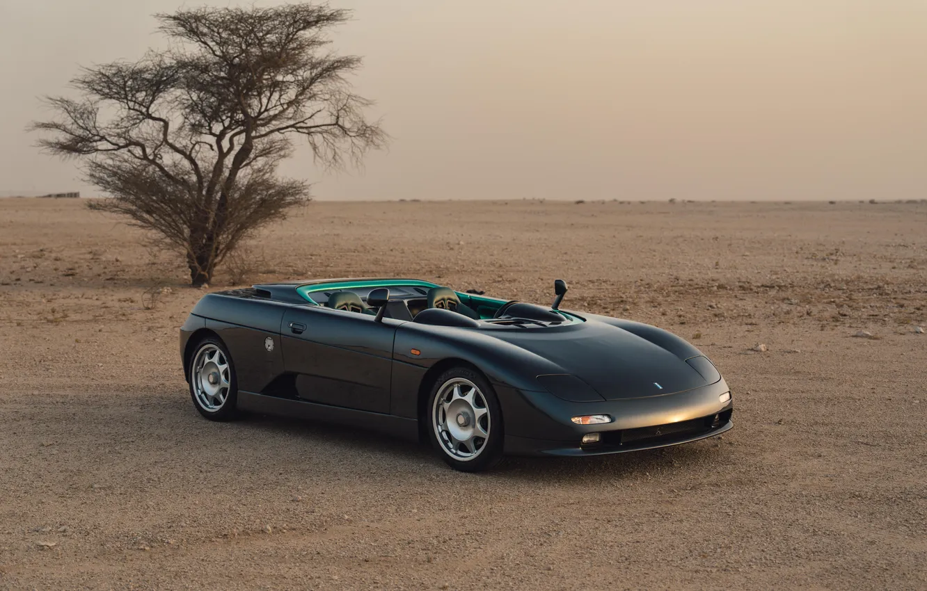 Фото обои суперкар, supercar, 1995, De Tomaso, единственный экземпляр, the only instance, De Tomaso Guara Barchetta, De …