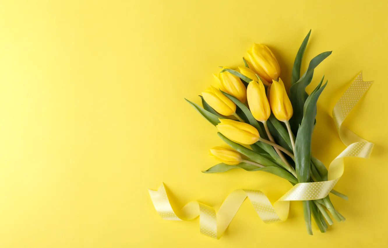Фото обои цветы, букет, лента, желтые тюльпаны