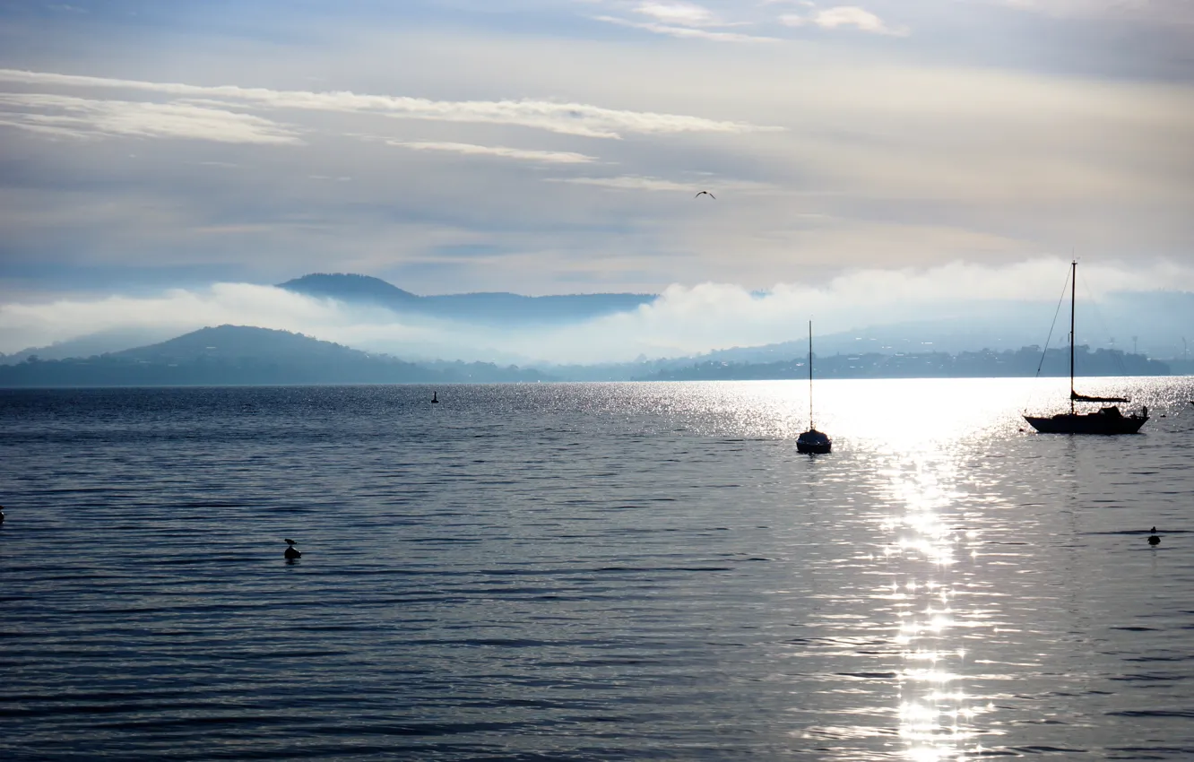 Фото обои туман, берег, яхты, утро. море