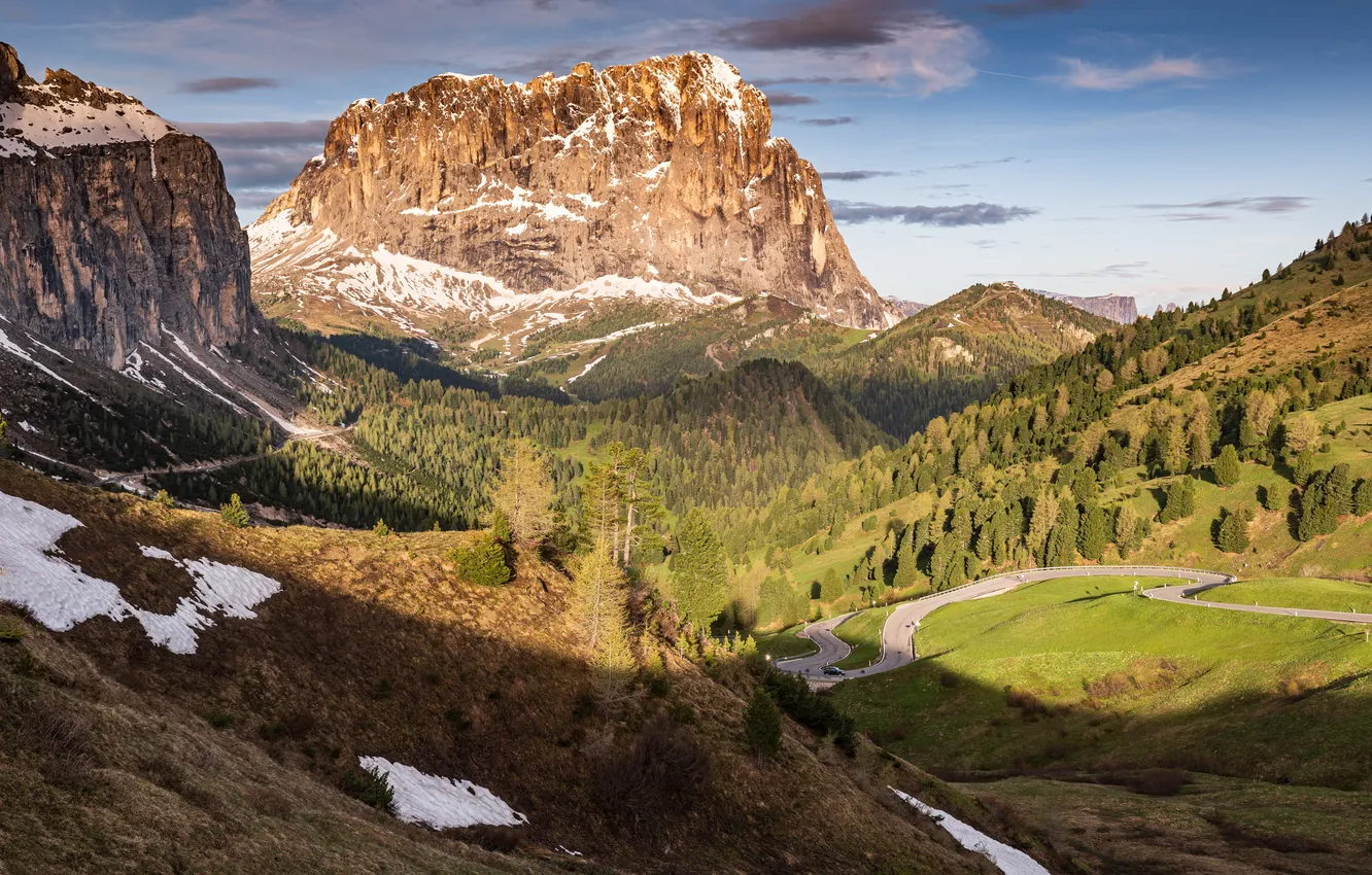 Фото обои summer, forest, mountains