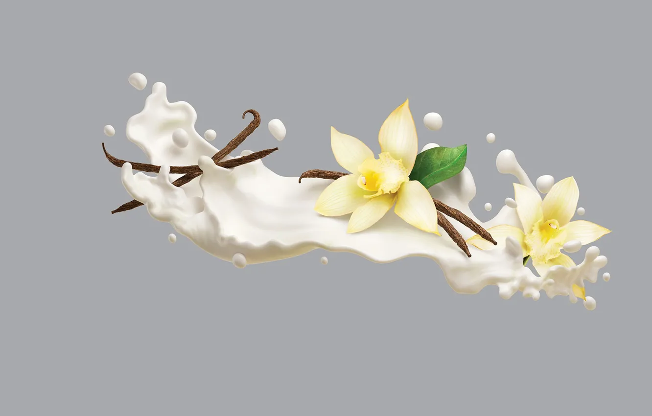 Фото обои минимализм, сливки, арт, ваниль, AJ Jefferies, Philadelphia VIVA Protein Smoothies