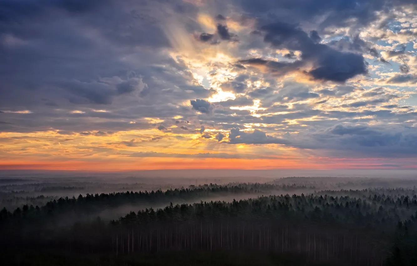 Фото обои Lietuva, saulėlydis, gamta