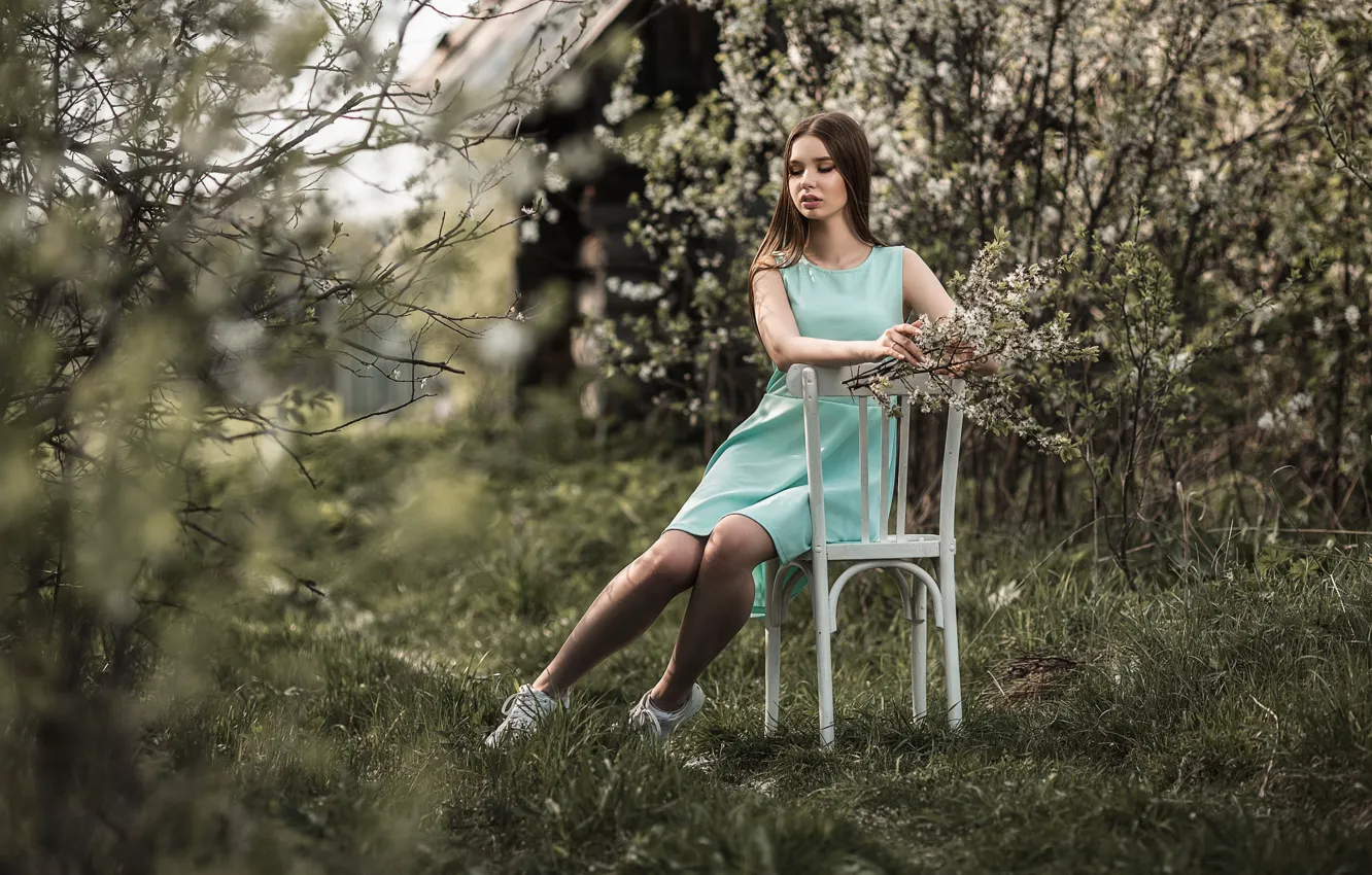 Фото обои девушка, ветки, природа, весна, платье, стул, шатенка, цветение