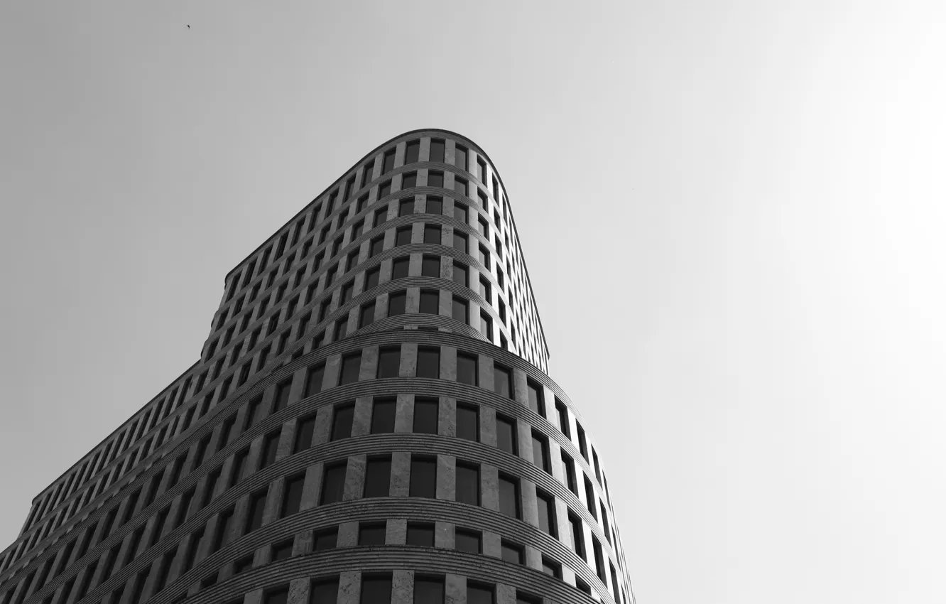 Фото обои здание, окна, черно-белое