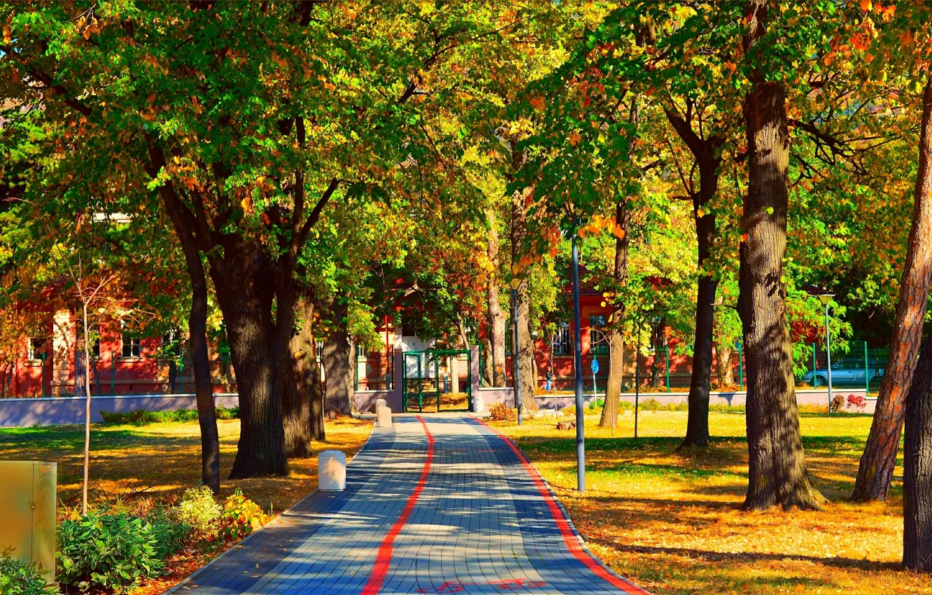 Фото обои Осень, Деревья, Парк, Fall, Дорожка, Park, Autumn, Colors