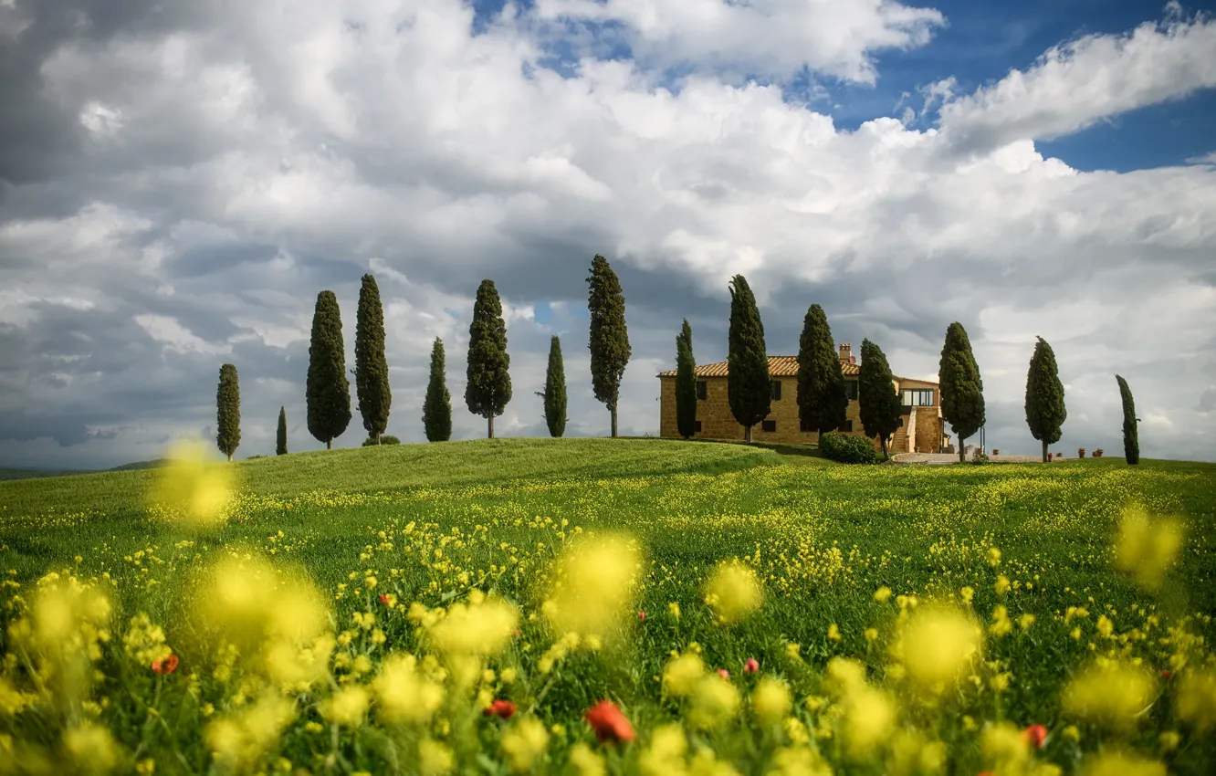 Фото обои облака, деревья, пейзаж, цветы, природа, весна, Италия, луга