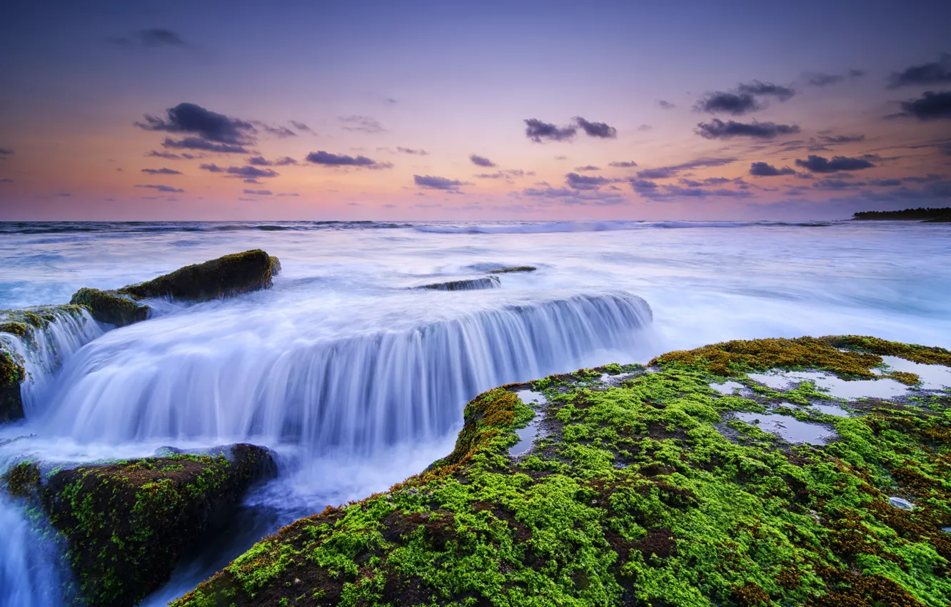 Фото обои водоросли, камни, океан, рассвет, Bali, Indonesia, Canggu, Lima Beach