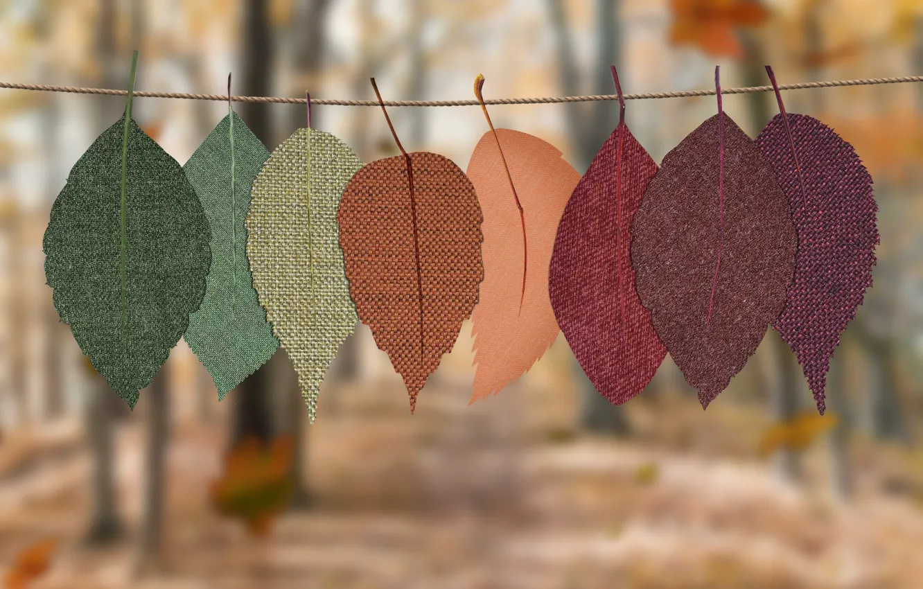 Фото обои осень, листья, парк, веревка, ткань, боке, осенние листья, из ткани