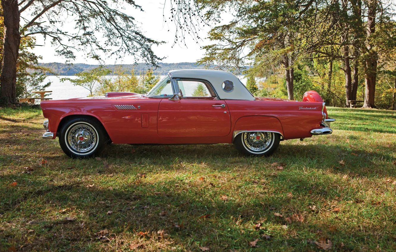 Фото обои Ford, Форд, 1965, ретро автомобили, Thunderbird, retro cars, Ford Thunderbird Convertible