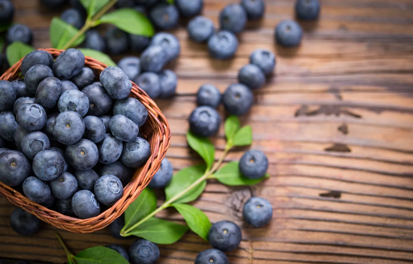 Фото обои ягоды, черника, fresh, wood, blueberry, голубика, berries