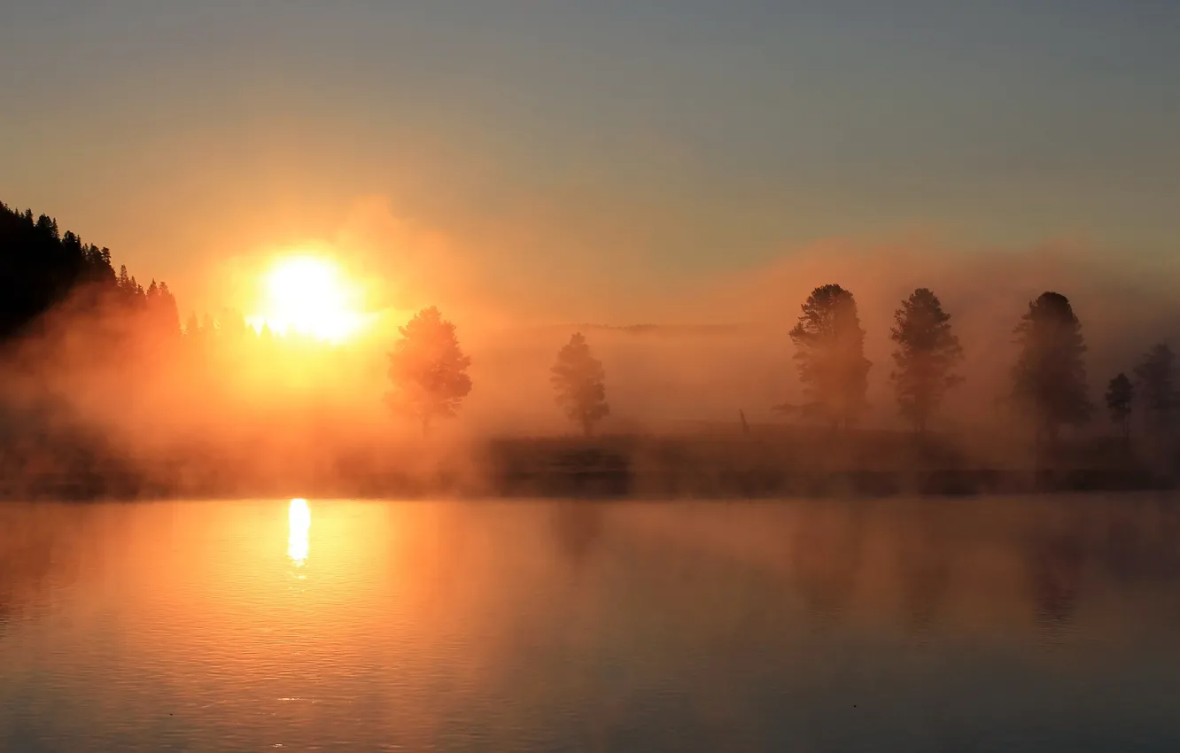 Фото обои небо, солнце, деревья, закат, туман, озеро