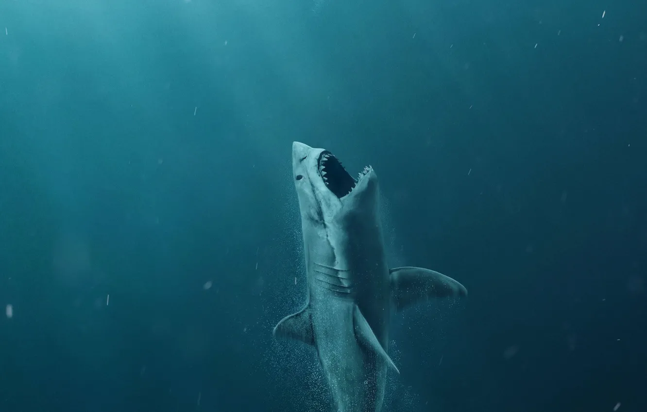 Фото обои underwater, sea, poster, shark, animals in the wild, animal wildlife, the meg