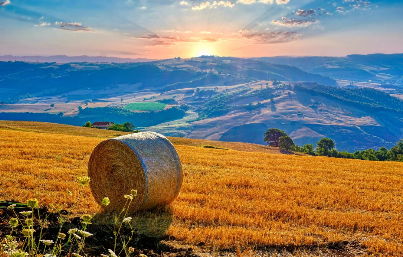 Фото обои поле, восход, рассвет, холмы, утро, сено, Италия, панорама
