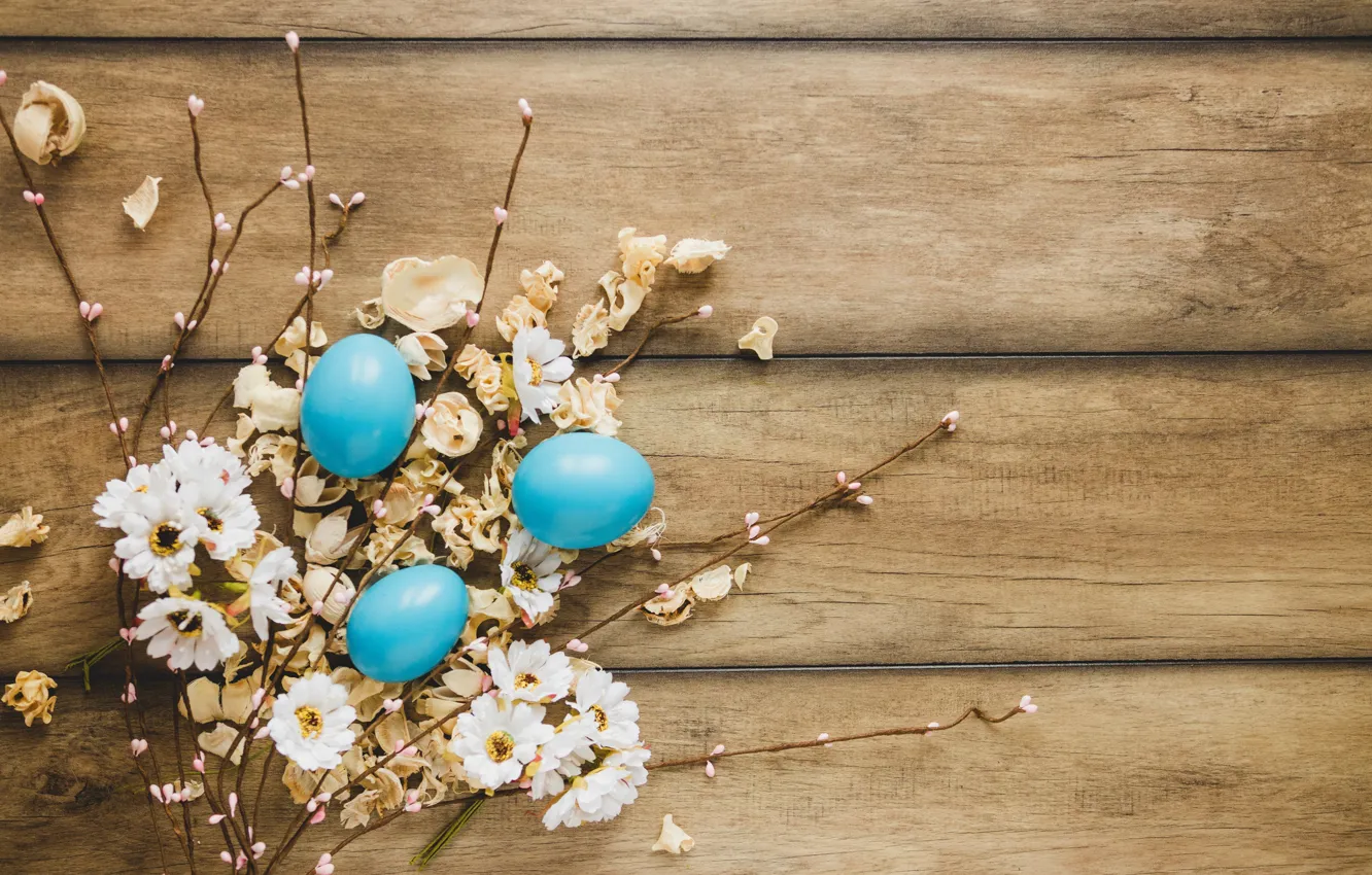 Фото обои цветы, ромашки, весна, Пасха, wood, flowers, spring, Easter