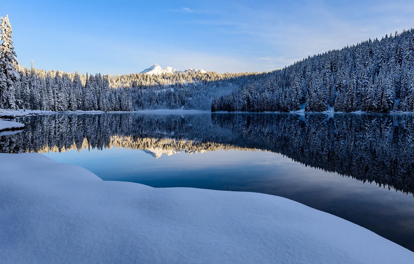 Фото обои зима, лес, снег, горы, синева, берег, ели, Канада