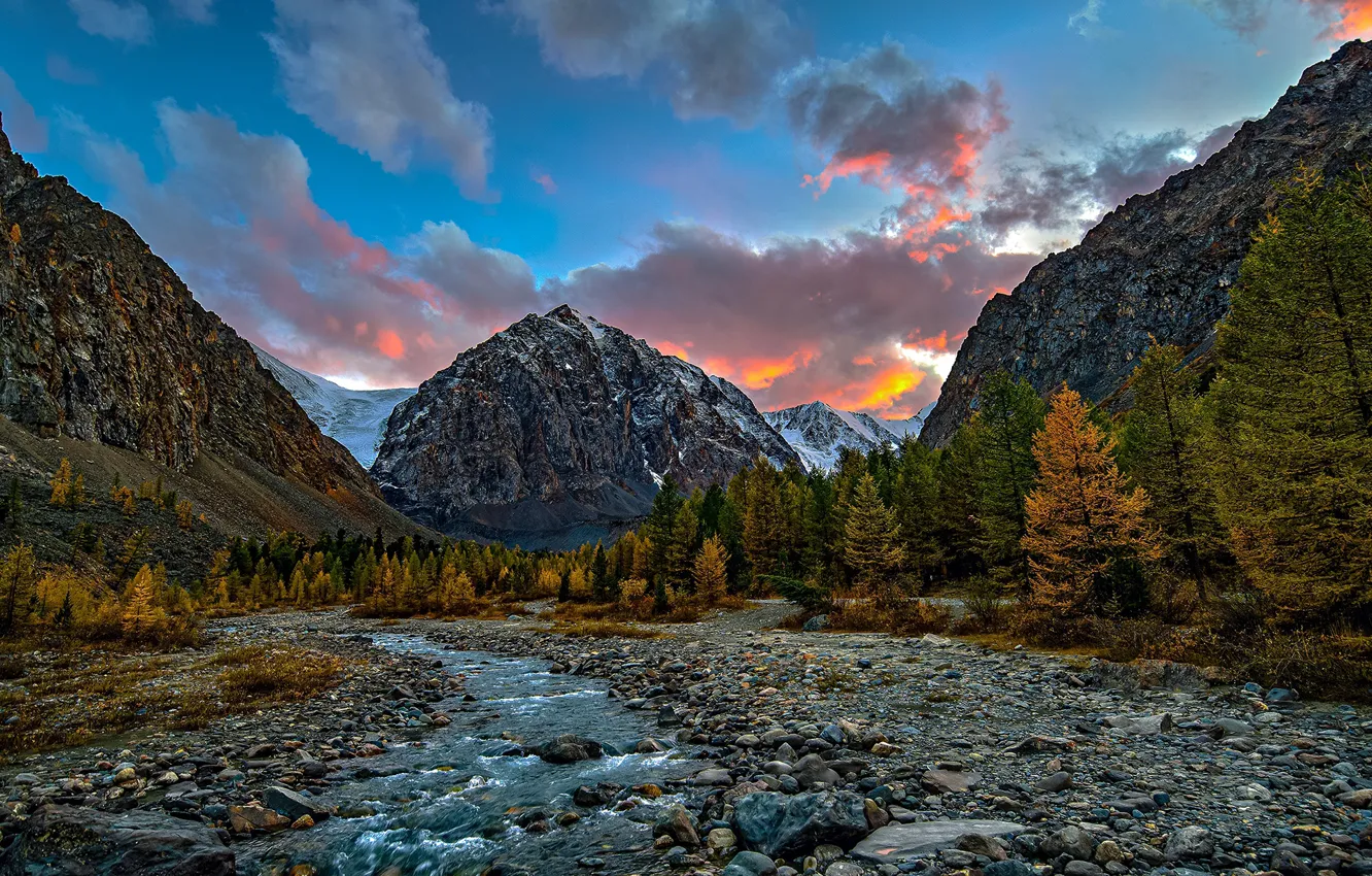 Фото обои осень, лес, пейзаж, горы, природа, река, Алтай, Актру