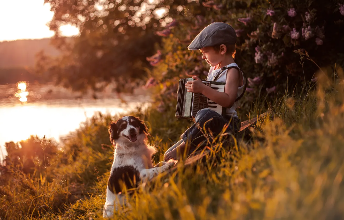 Фото обои река, собака, мальчик, кепка, друзья, аккордеон