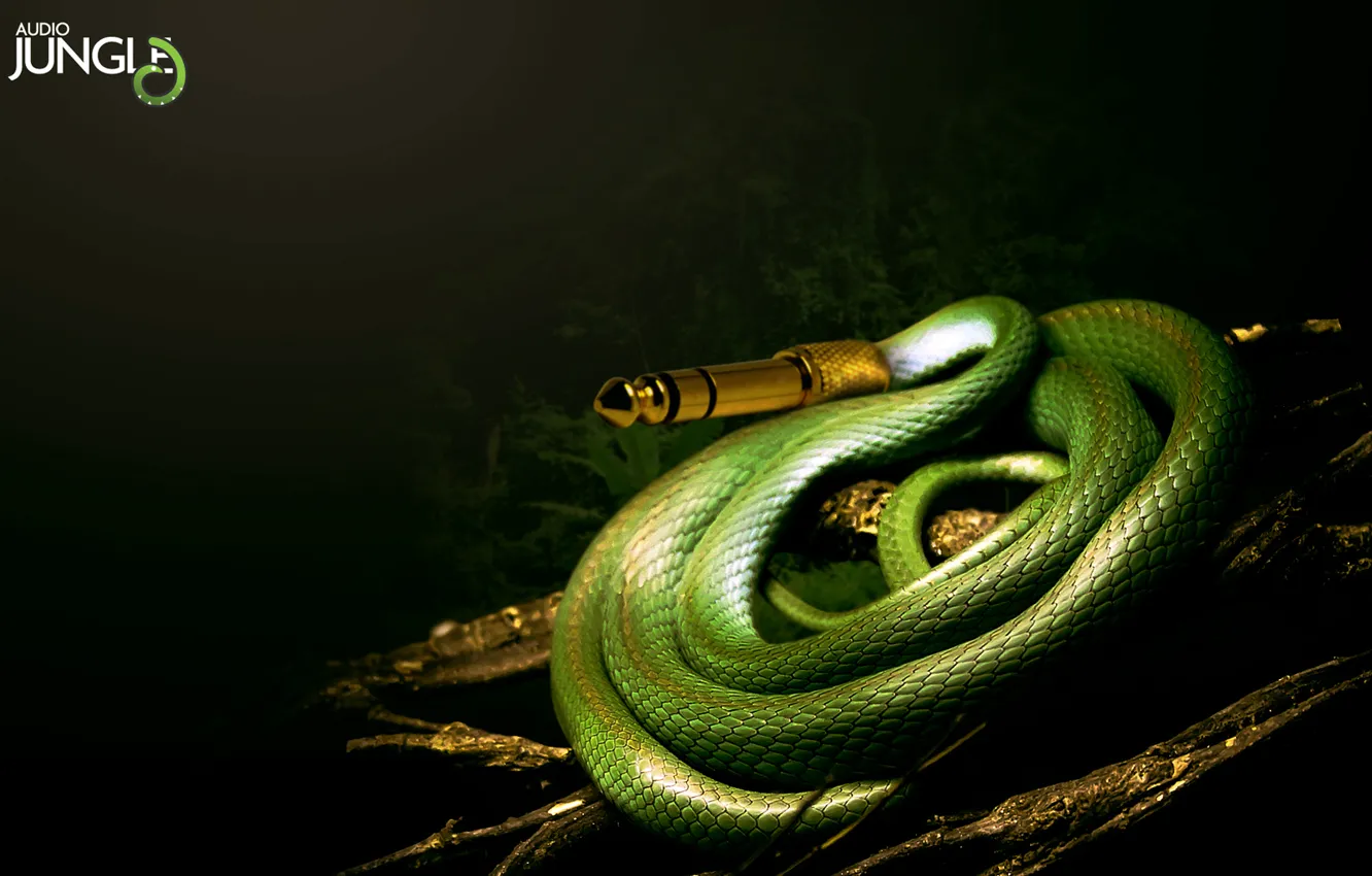 Фото обои змея, Музыка, джунгли