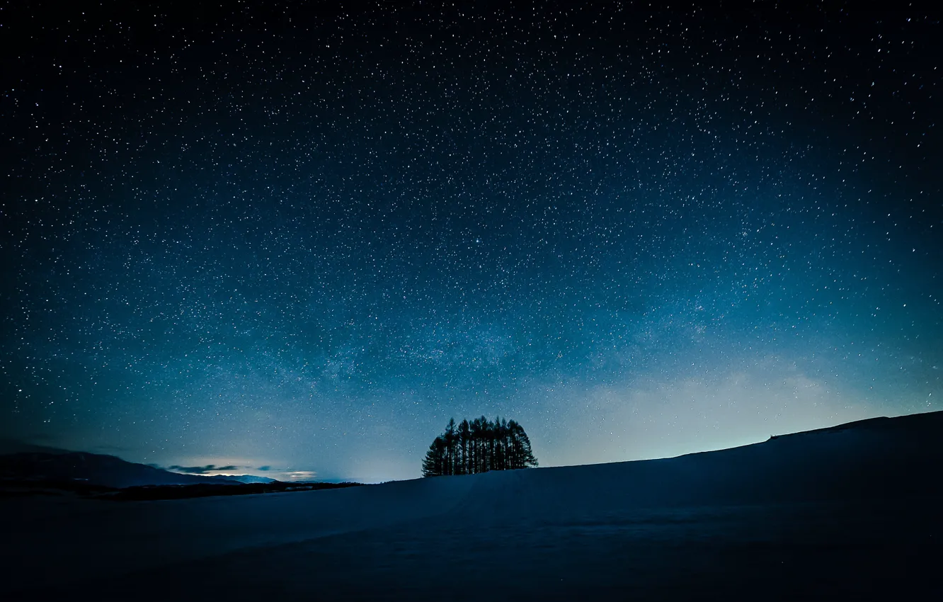 Фото обои поле, небо, звезды, деревья, ночь