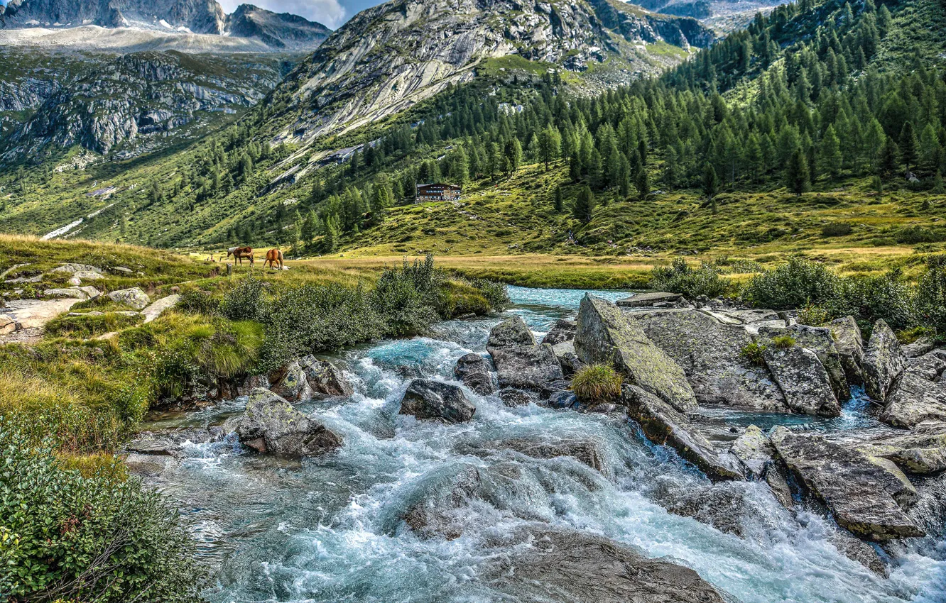 Фото обои горы, река, камни, долина, Альпы, Италия, Italy, Alps