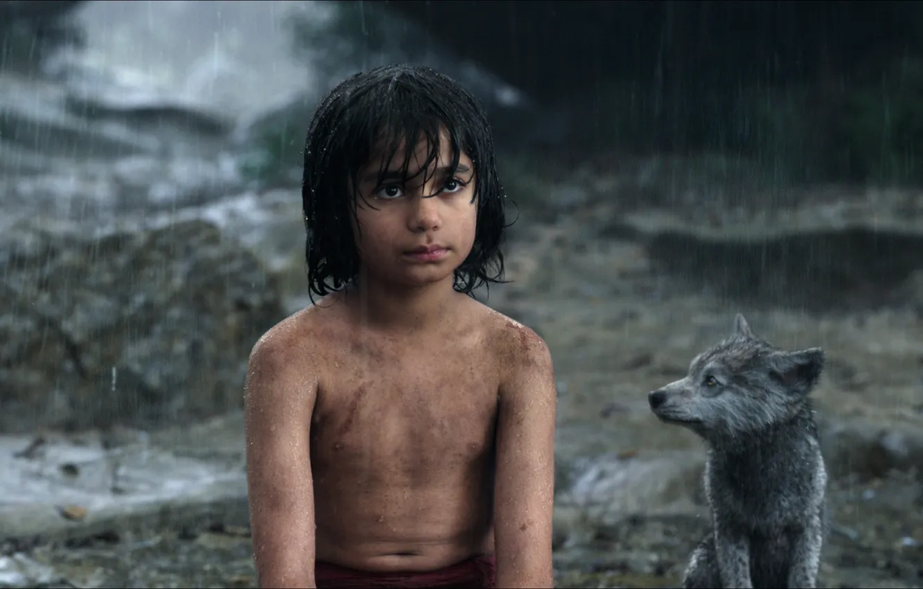 Фото обои мальчик, волчонок, Маугли, The Jungle Book, Книга джунглей