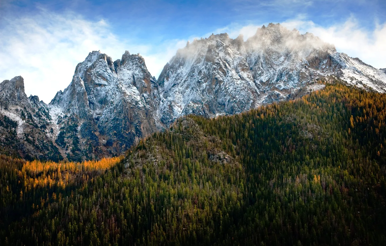 Фото обои лес, снег, горы, вершины