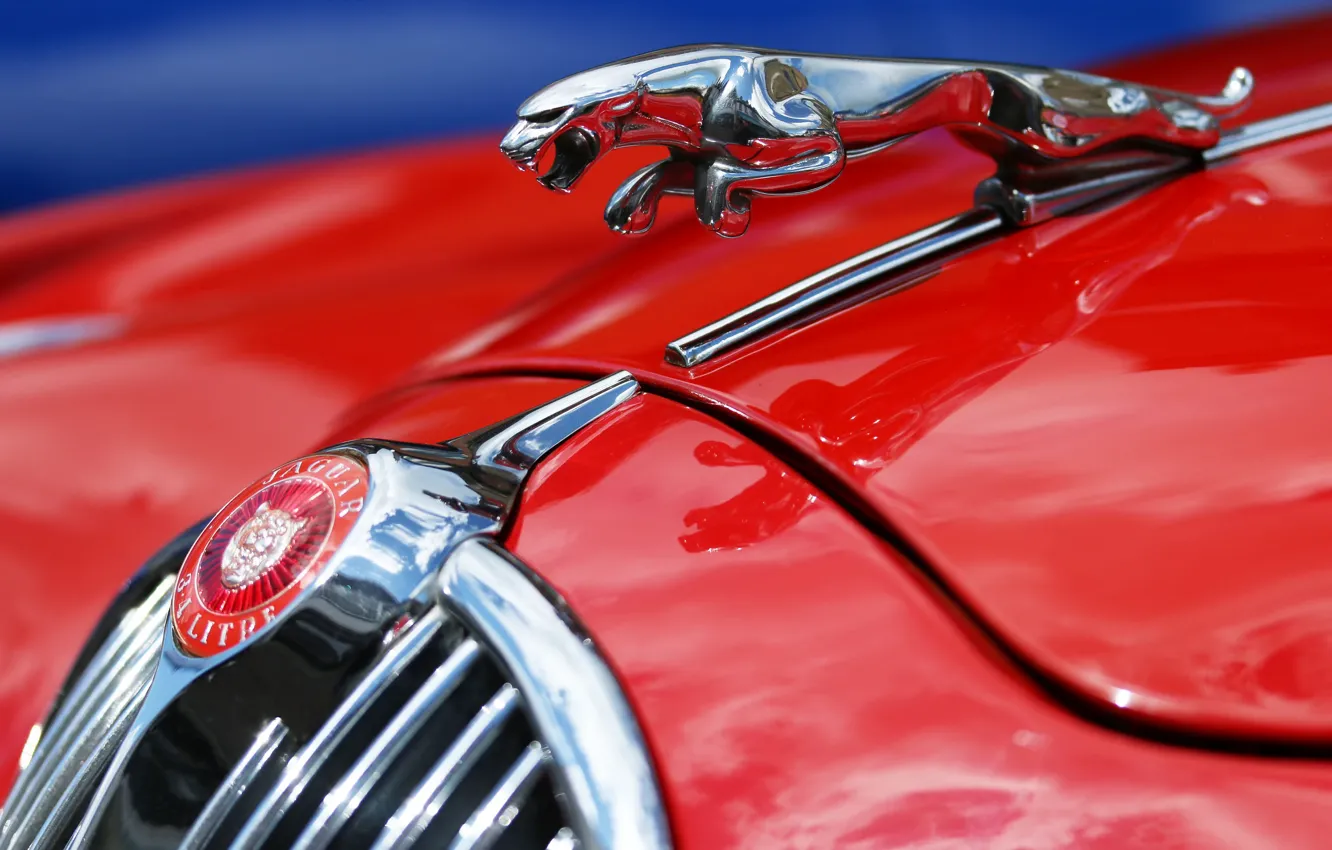 Фото обои макро, красный, ягуар, Jaguar MK2