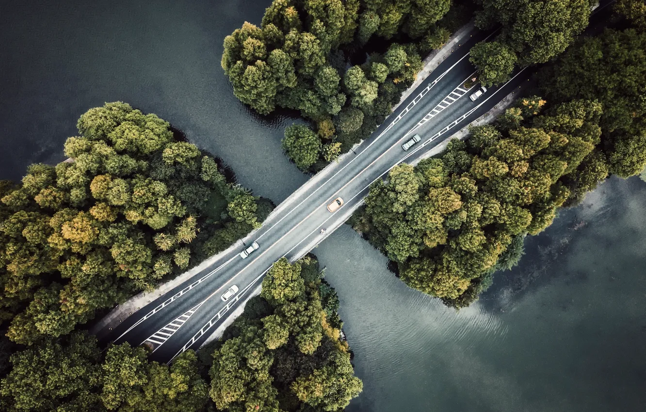 Фото обои лес, вода, деревья, мост, река, вид сверху