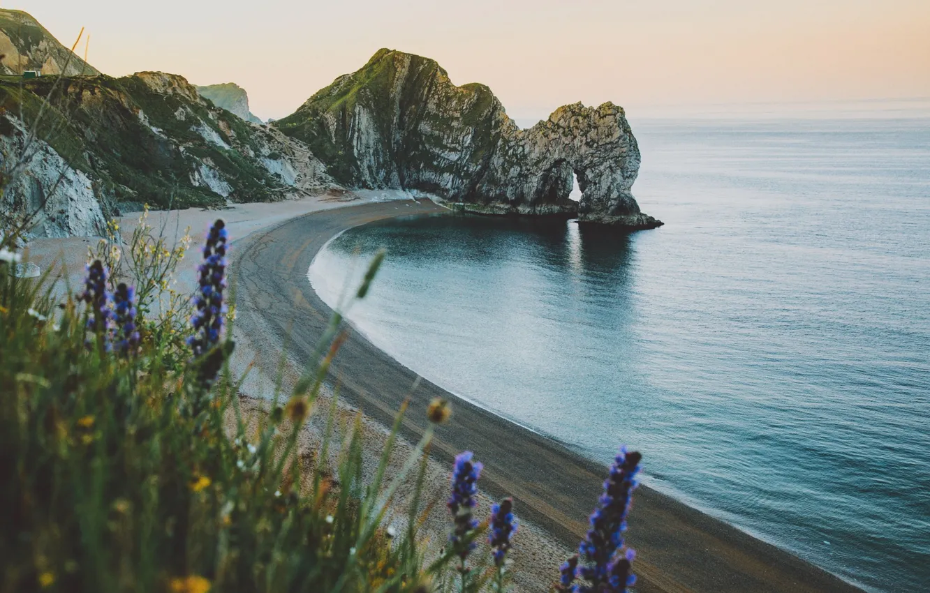 Фото обои море, пляж, цветы, скалы, берег, арка