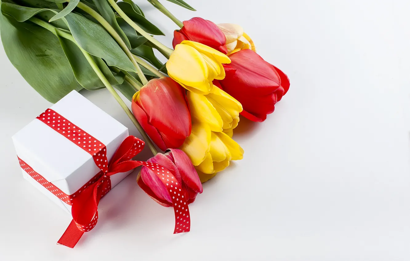 Фото обои праздник, подарок, букет, тюльпаны, красные
