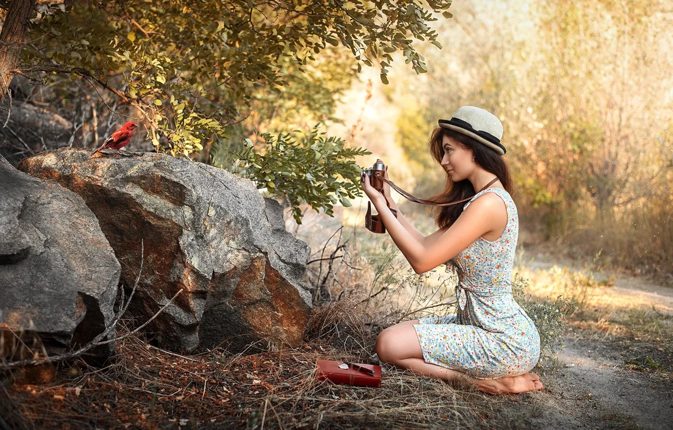 Фото обои девушка, природа, птица, Maks Kuzin, юный фотограф