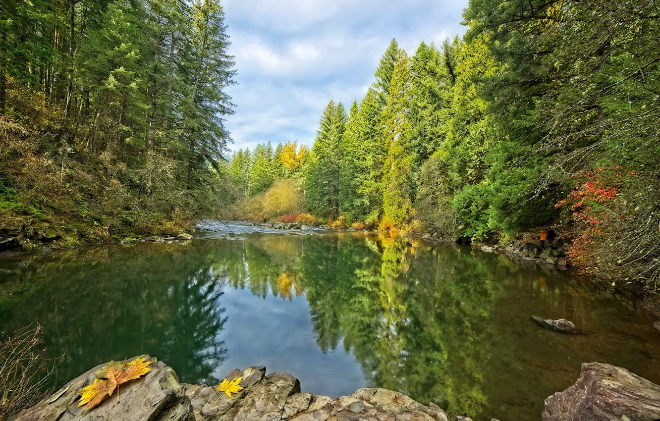 Фото обои осень, лес, небо, вода, деревья, отражение, река, камни
