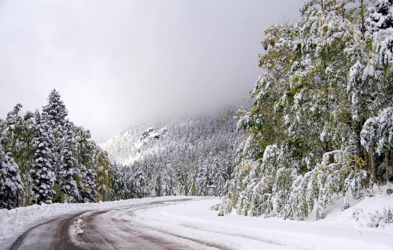 Фото обои зима, дорога, небо, снег, деревья, поворот