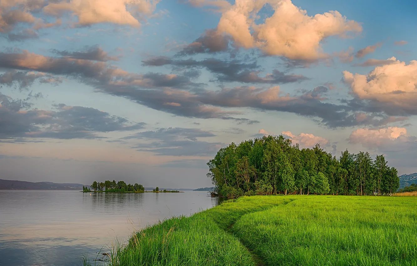 Фото обои зелень, лето, небо, трава, облака, деревья, река, берег