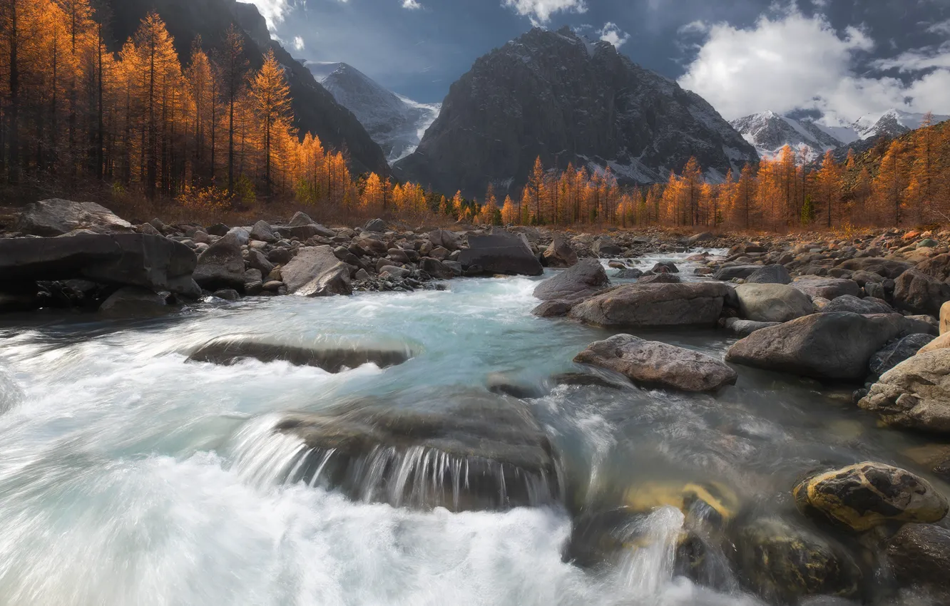 Фото обои осень, лес, деревья, горы, река, камни, Россия, Сибирь