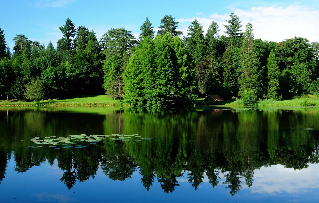 Фото обои зелень, вода, деревья, пейзаж, природа, озеро, отражение, Франция
