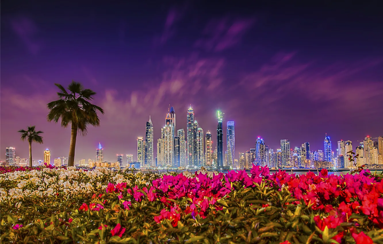 Фото обои закат, цветы, пальмы, здания, Дубай, ночной город, Dubai, небоскрёбы