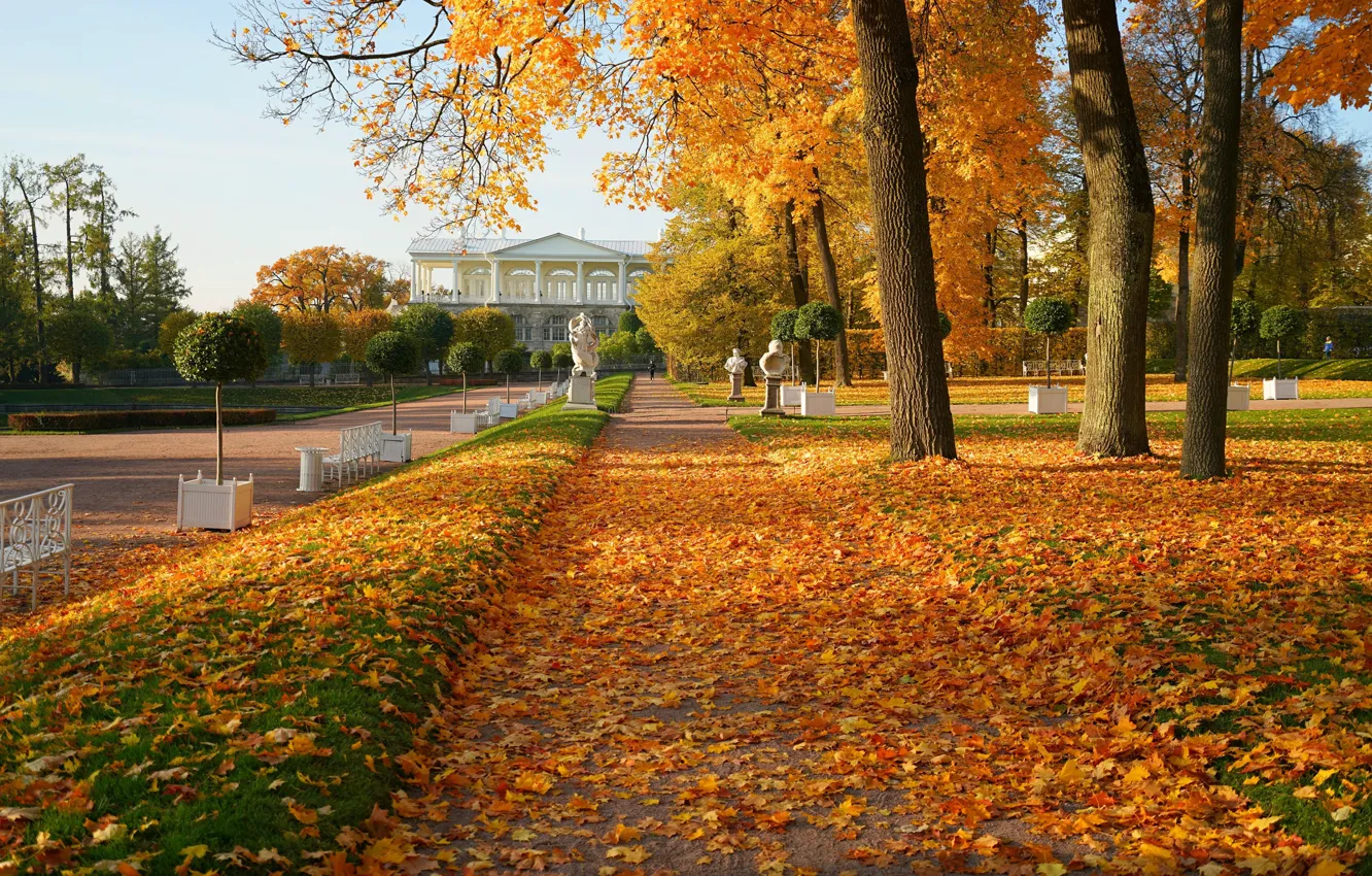 Фото обои город, парк, листва, архитектура, аллея, скульптуры, Пушкин, Царское село
