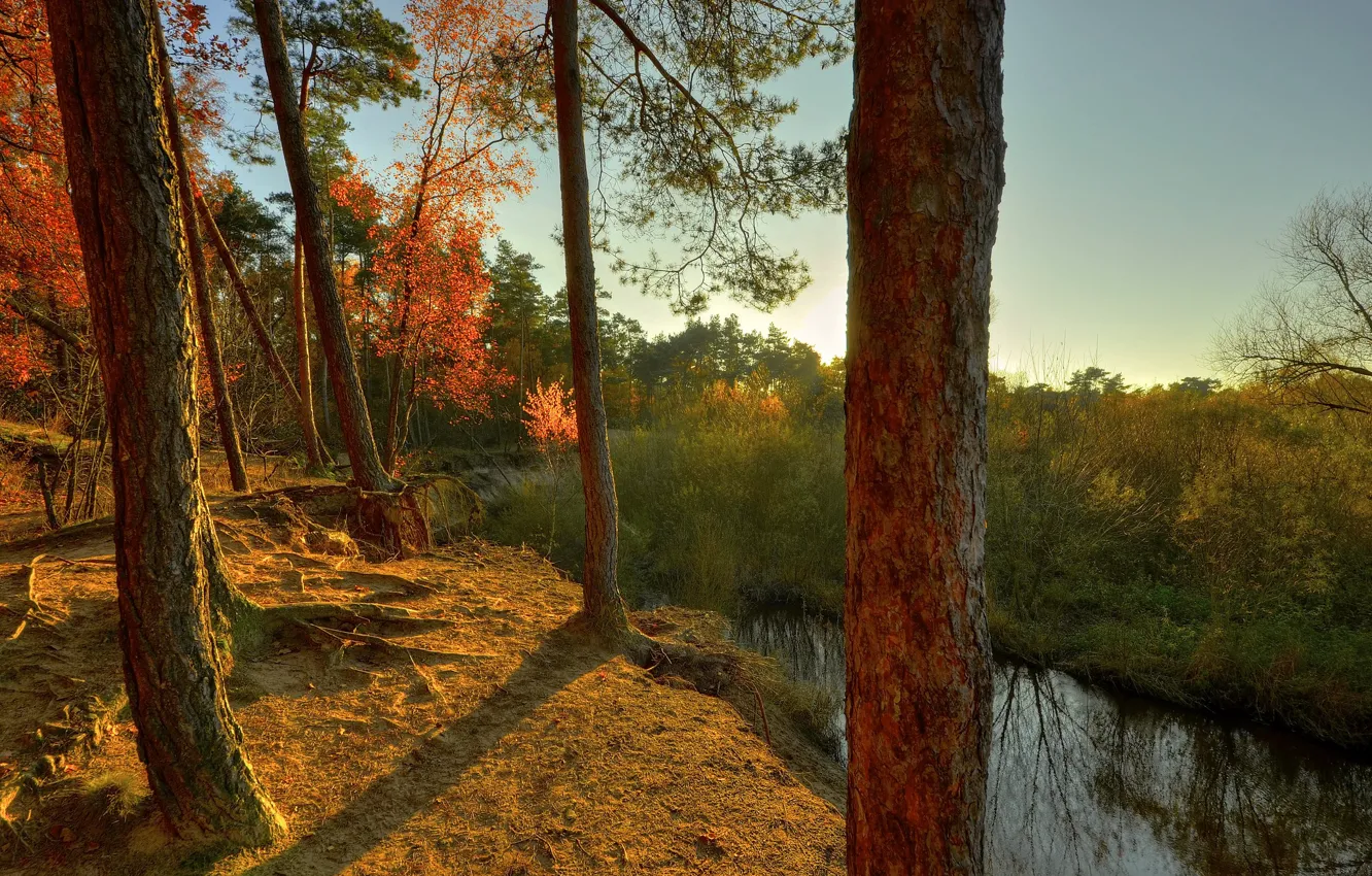Фото обои осень, лес, небо, деревья, закат, река, ручей, обрыв