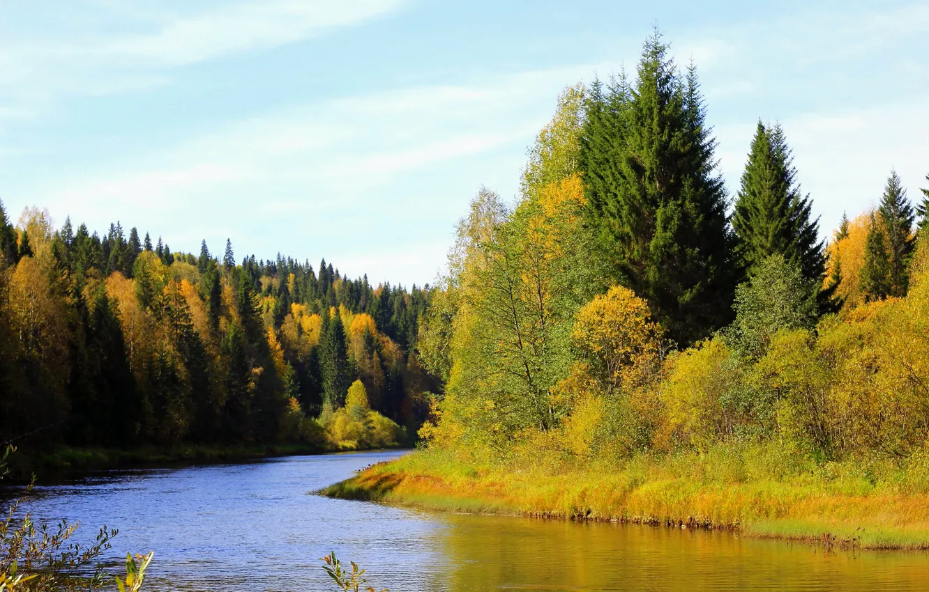 Фото обои осень, лес, деревья, река, берег, Россия, Пермский край