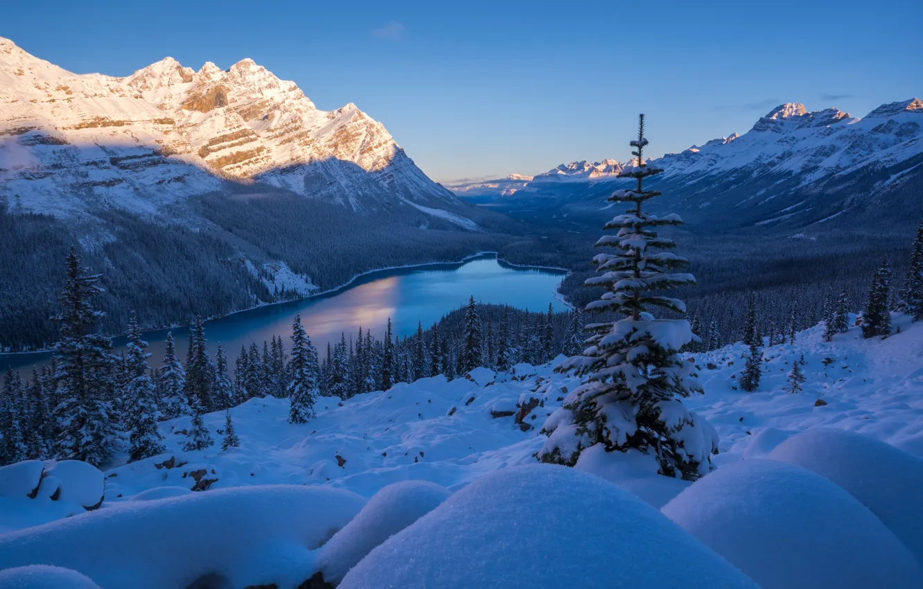 Фото обои зима, снег, горы, озеро, ели, Канада, сугробы, Альберта