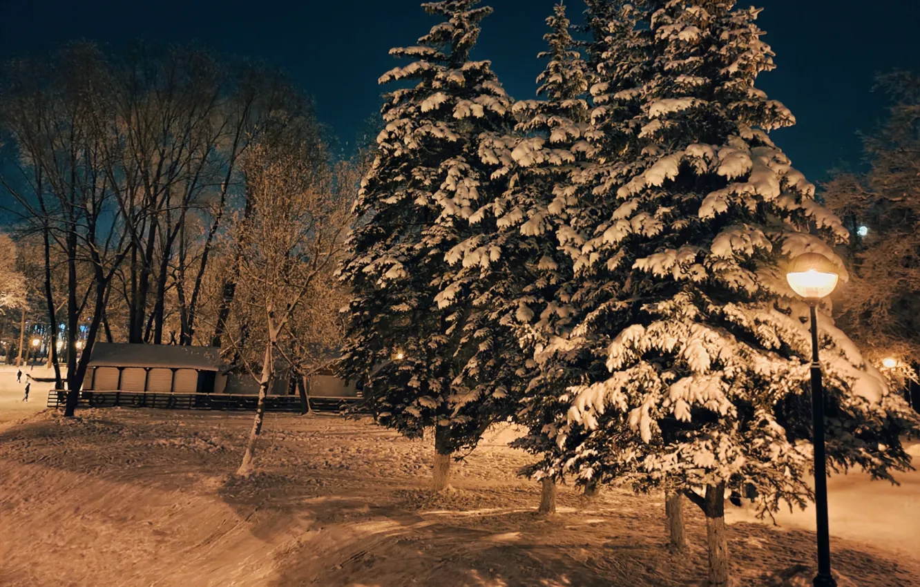 Фото обои снег, ночь, Зима