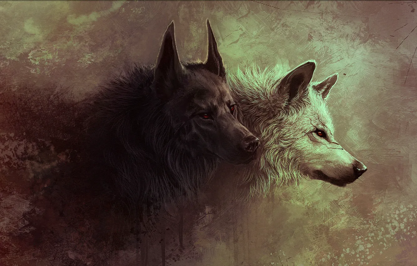 Фото обои звери, волк, арт, волчица