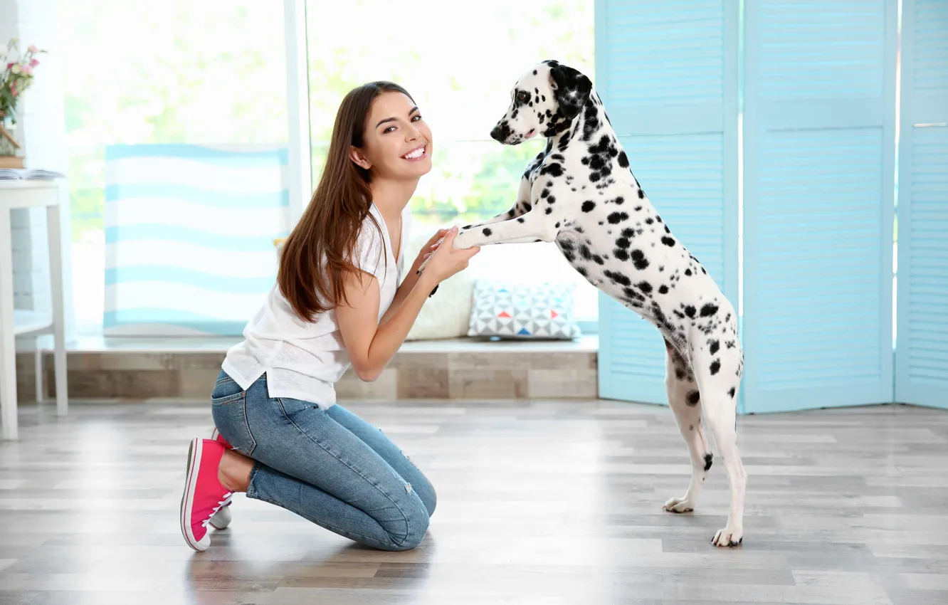Фото обои девушка, настроение, собака, далматин, dog, dalmatian