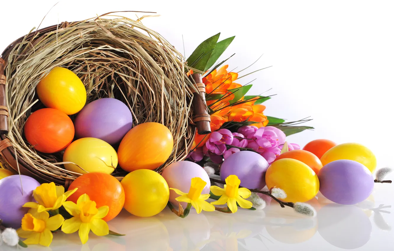 Фото обои цветы, яйца, Пасха, flowers, нарциссы, Easter, eggs