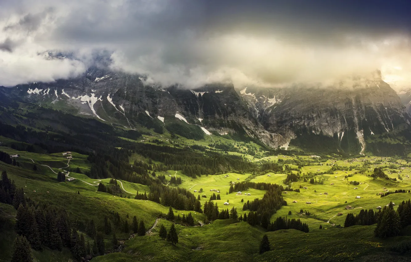 Фото обои зелень, лето, облака, Швейцария, долина, в кантоне Берн, Гриндельвальд