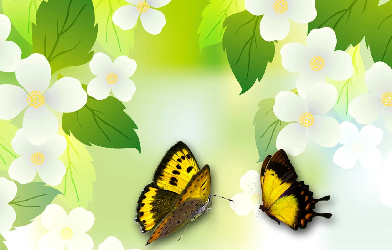Фото обои листья, цветы, коллаж, бабочка, весна