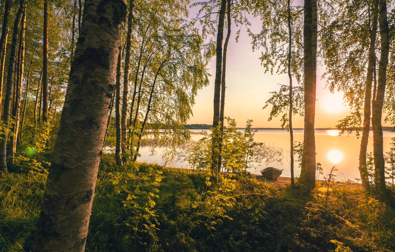 Фото обои Солнце, Природа, Озеро, Деревья, Nature, Sunrise, Финляндия, Finland