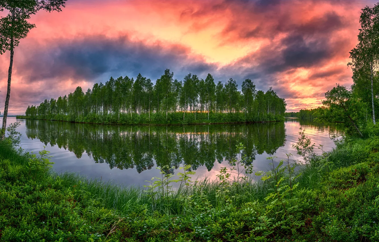 Фото обои лето, трава, деревья, закат, озеро, отражение, остров